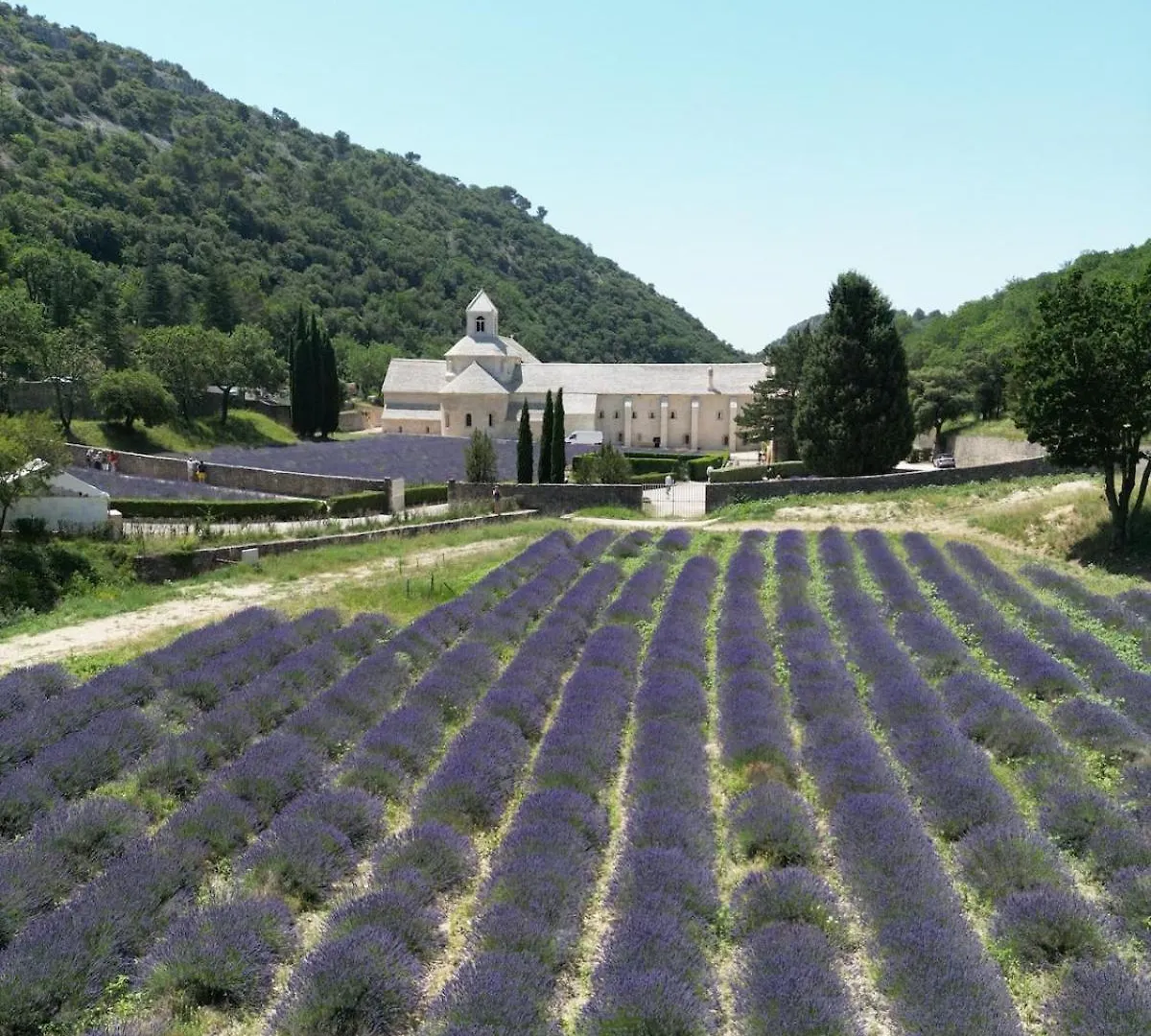 Lou Paradou Villa Gordes Holiday home
